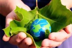 Η Ελληνική Γεωργία «ριζώνει» στο διαδίκτυο