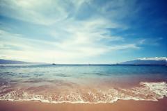 Η περιβαλλοντική εκστρατεία της HELMEPA στο Νησί των Ιπποτών