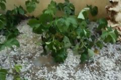 Ποτάμι οι δρόμοι του Σουφλίου [Video]