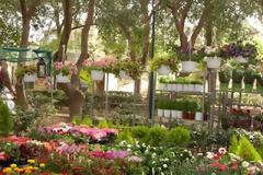 Χρώματα κι αρώματα ... από το πάρκο!