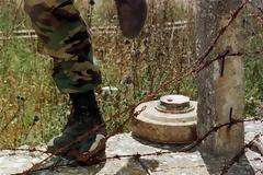 Κροατικές μέλισσες ανιχνεύουν... νάρκες