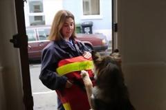 Οι περισσότερες επιθέσεις σκύλων σε ταχυδρόμους