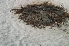 Απαράδεκτο! Έκαψαν σκουπίδια στο κέντρο παραλίας στη Χερσόνησο - Δείτε τις εικόνες