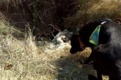 Ασυνείδητοι έβαλαν δολώματα στα ΄΄ Καγκέλια΄΄ Αβδέλλας