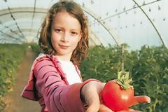 Οι Έλληνες θέλουν τα παιδιά τους στην επαρχία