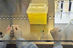 Απρόβλεπτη η γρίπη των πτηνών