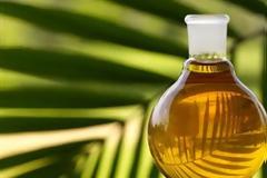 Ο δήμος Τρίπολης θα παράγει βιοντίζελ από τηγανέλαια