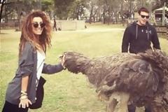 Το ταξίδι της Φουρέιρα στην Αφρική