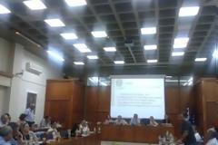 H... ροζ εκδοχή του δημοτικού συμβουλίου Τρικκαίων