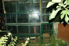 Γιάννενα: Είχε φτιάξει κανονικό θερμοκήπιο χασίς