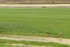 Βοιωτία: Ταφόπλακα το χαράτσι στα αγροτεμάχια για τους αγρότες