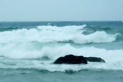 Το μπάνιο του μετατράπηκε σε εφιάλτη