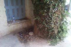 Κάνουν την ανάγκη τους στην πόρτα του Εφετείου στο κέντρο της πόλης - Αφόρητη δυσοσμία