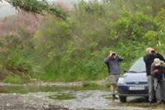 Συνάντηση εργασίας με θέμα «Οικοτουρισμός – Birdwatching, μια αναπτυξιακή ευκαιρία για τη Λέσβο»