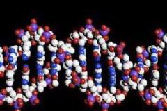 Δείγματα DNA χιλιάδων παιδιών φυλάγονται  από την αστυνομία