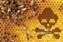 Η Monsato Φτιάχνει Ρομποτικές Μέλισσες για Επικονίαση!!!