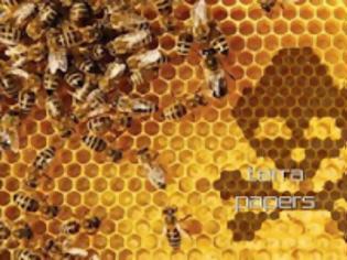 Φωτογραφία για Η Monsato Φτιάχνει Ρομποτικές Μέλισσες για Επικονίαση!!!