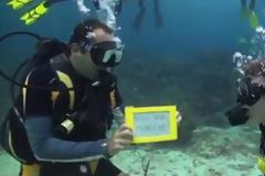 Αυτή είναι καλοκαιρινή πρόταση γάμου! - Υποθαλάσσια! [video]