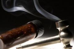 Σάλβια: Το νέο επικίνδυνο ναρκωτικό