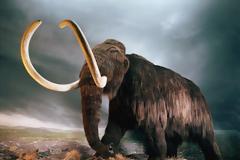 Πως αφανίστηκαν τα μαμούθ;