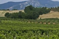 Πλατανιάς Χανίων: Η περιοχή που έκρυβε ένα μεγάλο μυστικό