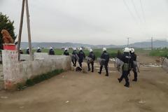 Αφόρητη η κατάσταση με τους Ρομά στη Θήβα... χειροδίκησαν στον Αντιδήμαρχο [video]