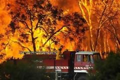 Τι απαγορεύεται και τι επιτρέπεται σχετικά με το άναμμα φωτιάς και την καύση υπολειμμάτων