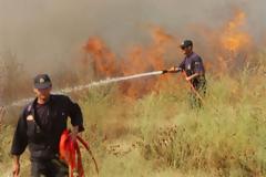 Φθιώτιδα: Εκτός ελέγχου η πυρκαγιά στην Τραγάνα - Τρέχουν και δεν φτάνουν από το πρωί οι πυροσβέστες