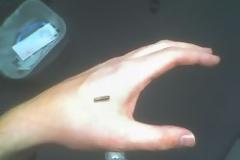 Μόνο όσοι έχουν τσιπάκι θα δικαιούνται δωρέαν τρόφιμα στις ΗΠΑ