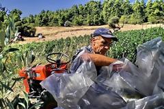 Ξάνθη: Μαϊμού αγροτικές επιδοτήσεις και αγρότες… μόνο στα χαρτιά!