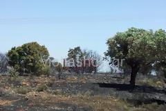 Φωτιά στη Ριτσώνα - Έπεσε πυλώνας επειδή του έκλεψαν τη βάση!