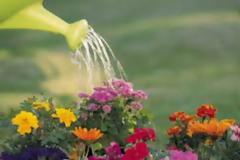 Απίστευτο: Διαρρήκτης μπήκε στο σπίτι... για να ποτίσει τα λουλούδια!