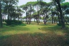 Δυτική Eλλάδα: Δείτε που απαγορεύεται να κυκλοφορείτε τους καλοκαιρινούς μήνες