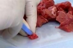 Xειροπέδες στον αρχιέμπορο που γέμισε την αγορά με αλογίσιο κρέας