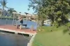 Άνδρες βουτούν πάνω σε θαλάσσιες αγελάδες [video]