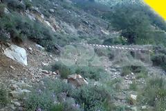 Αίσιο τέλος με την οβίδα στον ΕΡΑΝΟ Ξάνθης