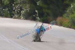 Όχι δεν φύτρωσε δέντρο στην μέση του δρόμου - Φωτό από την ε.ο. Πρέβεζας Ηγουμενίτσας