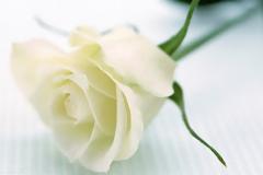 Έζησαν έντονα, αλλά «έφυγαν» νέοι, συγκλονίζοντας το πανελλήνιo