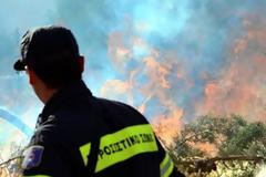 Υπό έλεγχο η πυρκαγιά στην Ύδρα