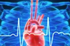 Υγεία: Γονίδια θα θεραπεύουν την καρδιακή ανεπάρκεια