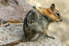 Πού οφείλεται η φαγούρα; Λύθηκε ένας από τους μεγαλύτερους γρίφους