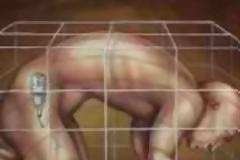 Κυκλοφορεί τιμοκατάλογος ανθρώπινων οργάνων! Πόσο πάει το συκώτι, το νεφρό, η καρδιά;