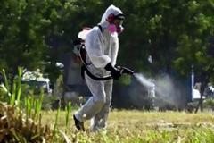 Δύσκολο το καλοκαίρι λόγω επιδρομής κουνουπιών