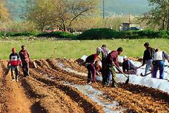 Η Ήπειρος, για να μη σβήσει, ρίχνει όλο το βάρος της στην αγροτιά