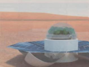 Φωτογραφία για Ελληνικό σπανάκι στον Άρη