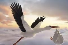 Πρωτότυπη ανακοίνωση και γλυκό καλωσόρισμα!