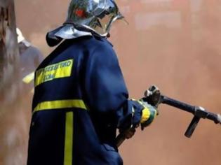 Φωτογραφία για Φθιώτιδα: Κινδύνεψαν πυροσβέστες σε πυρκαγιά