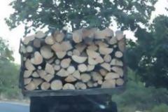 Είχε «Άγιο» Τρικαλινός φωτογράφος και η οικογένειά του