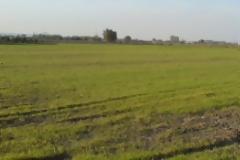 H φορολόγηση στα αγροτεμάχια φέρνει νέα πολιτική εμπλοκή