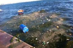 Μπίχλα στο Θερμαϊκό! [Photo]